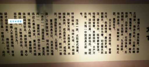 陶陶然乐在其中，是哪个生肖的真实写照？
