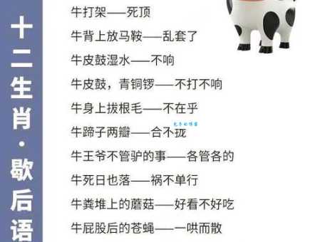 想知道冷言冷语是哪个生肖吗？带你了解生肖性格的秘密。