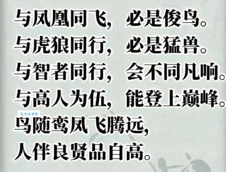 鸟为食亡的真正含义是什么？揭秘成语背后的故事