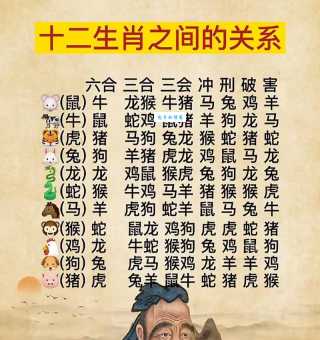 揭秘：十二生肖中暗淡无光的动物是哪些？