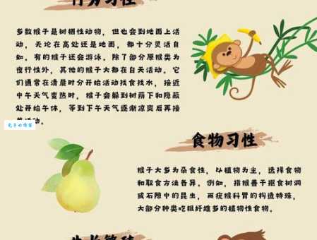 猴子偷桃指什么生肖？答案让你意想不到！