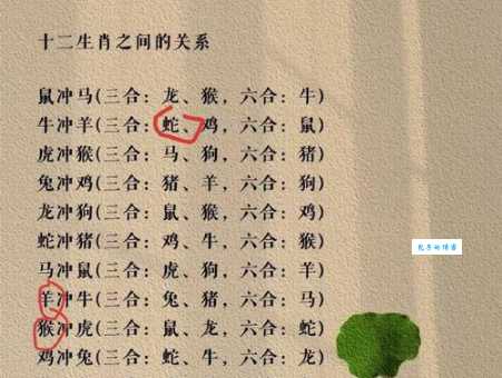 家丑外扬是哪个生肖？不同生肖家丑外扬的概率大揭秘