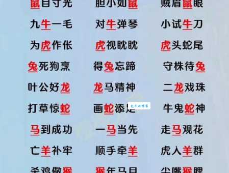 你知道惊涛拍岸指的是哪个生肖吗？揭开成语背后的生肖谜题
