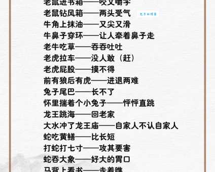 浪迹天涯，是哪个生肖的写照？答案或许让你意外