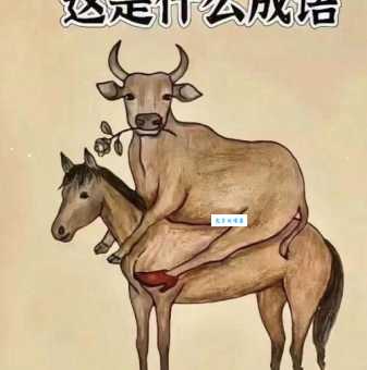 绞尽脑汁猜一生肖，你猜对了吗？