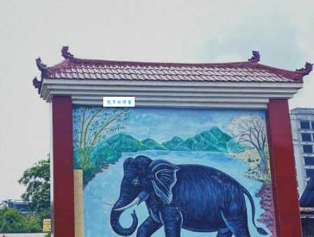 象是哪个民族的十二生肖？揭秘傣族生肖文化