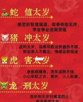 召之即来是什么生肖？哪个生肖最听话？