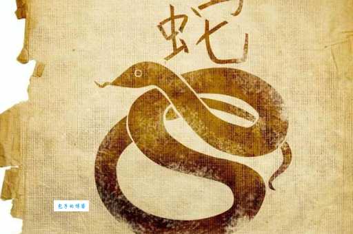 七星伴月是什么生肖？民间说法大揭秘！