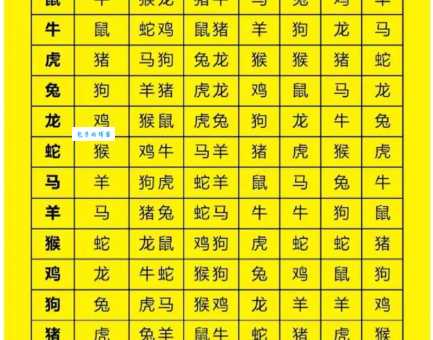 十二生肖中哪个最容易一无所获？深度解析