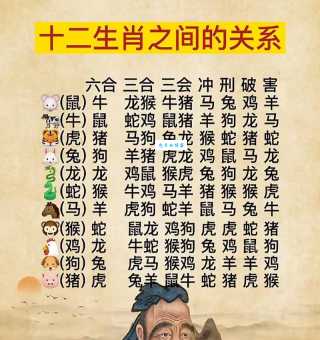 你知道锐不可当代表哪个生肖吗？答案就在这里