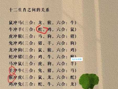 张牙舞爪是哪个生肖？答案揭晓！