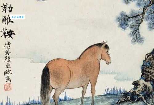 宝刀不老的生肖是哪些？他们有哪些共同特质？