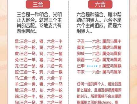 解读三姑六婆与生肖之间的神秘联系