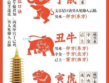生龙活虎到底是什么生肖？不同生肖的活力大比拼