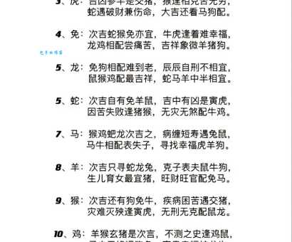 十二生肖中谁最会勾心斗角？揭秘那些心机动物