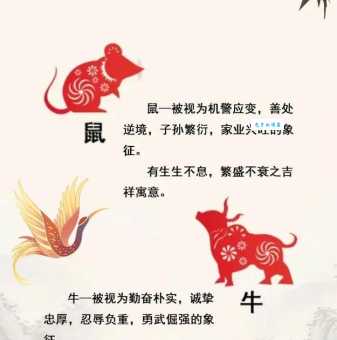 博大精深指的是哪个生肖？深度解析生肖背后的文化寓意