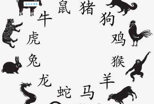 疙里疙瘩是什么生肖？多种说法及详细解释