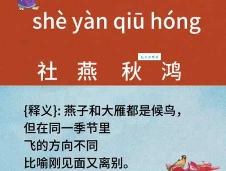 猜猜看社燕秋鸿指的是什么生肖？答案就在这里
