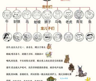 详解蛟龙得水代表什么生肖？深度解析生肖特性