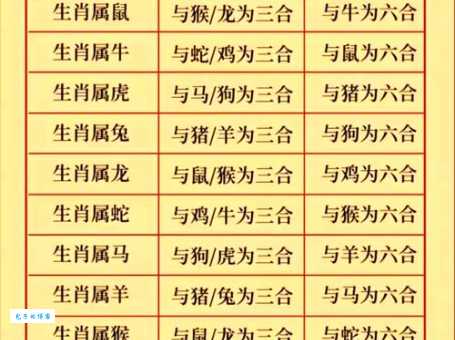 详解蛟龙得水代表什么生肖？深度解析生肖特性