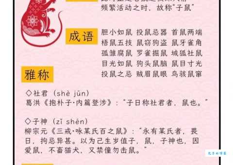 豪门酒肉代表哪个生肖？趣味谜题等你来解！