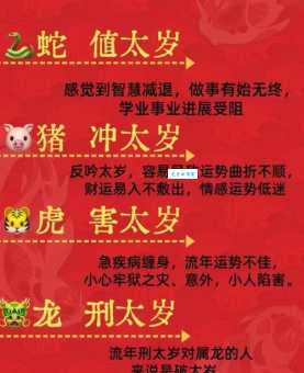 毫无建树指是什么生肖？揭秘十二生肖中的“实牙实齿”