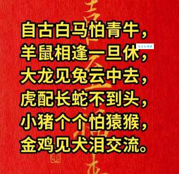 车辙马迹打一生肖，答案是什么生肖？