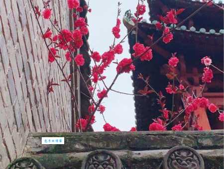 你知道春色满园关不住代表什么生肖吗？快来揭秘！