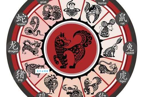 金鸡报晓代表的生肖是哪个？深度解读生肖文化