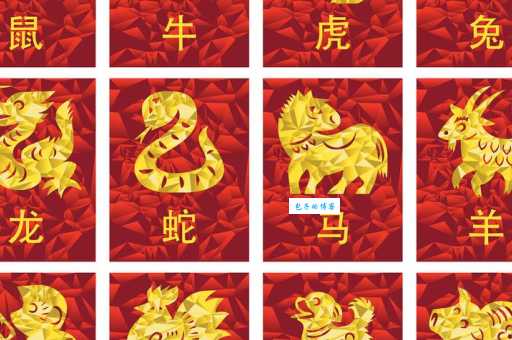 铜筋铁骨是哪个生肖的象征？你猜对了吗？