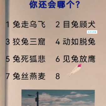 解读兔走乌飞：这个成语和哪些生肖有关？