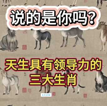 四海为家打一个生肖是什么动物？答案揭晓！