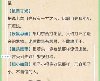 净几明窗指的是哪个生肖？带你探索成语背后的生肖秘密