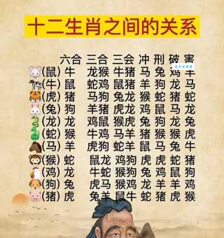 称孤道寡指的是哪个生肖？详解生肖性格与孤傲