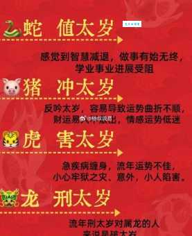 穷寇勿追指的是什么生肖？答案让你意想不到！
