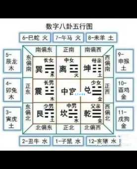朝九晚五的工作模式，代表什么生肖？