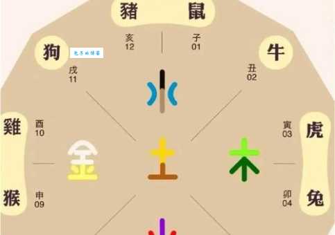 朝九晚五的工作模式，代表什么生肖？