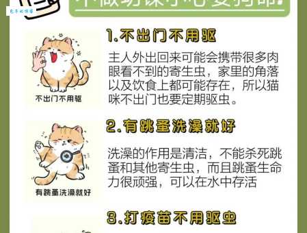 宠物做驱虫多少钱一次？价格范围及影响因素详解