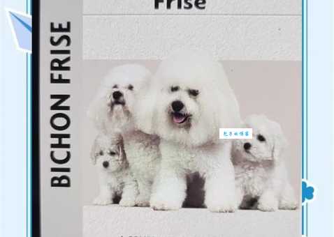 比利牛斯山犬的性格特点及日常护理方法详解