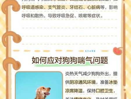 为什么狗狗总是伸着舌头喘气？警惕这些疾病信号