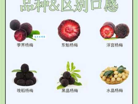 女人吃杨梅有什么好处？美容养颜又助消化！