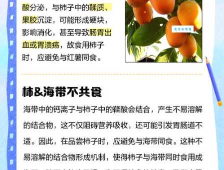 柿子不能和什么一起吃相克？科学解读食物搭配