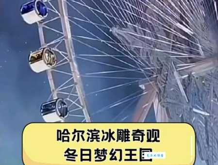 发现黑龙江：冰雪奇缘与古老骨雕的完美邂逅！