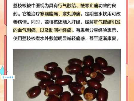 sorprendente功效！荔枝核的药用价值与作用