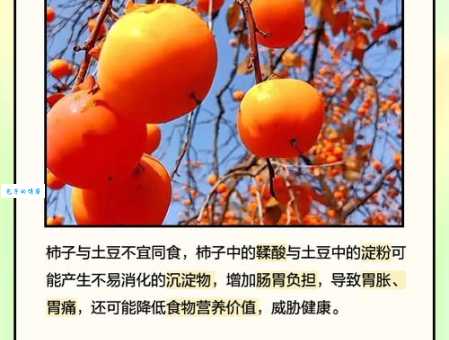 柿子与哪些食物相克？吃柿子后不能吃的食物清单