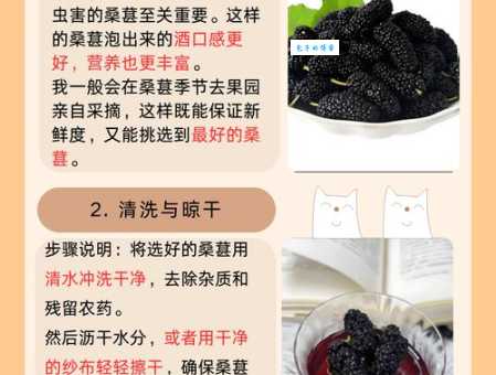 桑葚酒的功效与作用大揭秘：延缓衰老，让你青春永驻