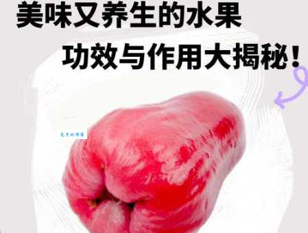 莲雾的功效与作用详解：不止是水果，更是天然良药！