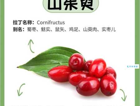 “遍插茱萸少一人”：诗句中“遍”字究竟是什么意思？