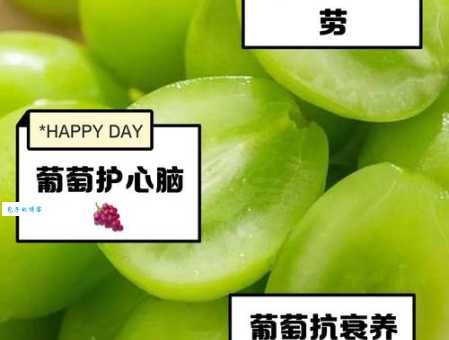 吃葡萄有哪些好处和功效？营养价值及作用详解！