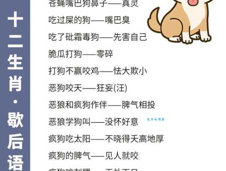 风韵犹存打一个生肖？答案揭晓，原来是它！